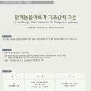 반려견 천연 아로마 테라피 이미지