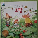 5월20일 수요일 동화 '귀염둥이 오팔'/나의 마음 책/내 마음을 소리로 표현/바깥놀이-감 꽃 탐색/손으로 느낄 수 있어요🌸 이미지