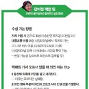 낭만고래 이미지