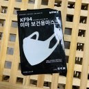 다모웰