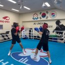 성남권투체육관 이미지