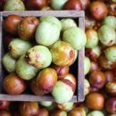 자비손한의원 이미지