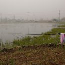 매월저수지1 이미지