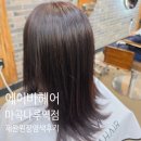 단아한영희헤어살롱 | 서울 마곡나루미용실 에이바헤어 마곡나루역점 - 마곡미용실 재완원장님 톤맞춤 새치 염색 후기