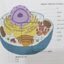 아주 특별한 생물학 수업 - 2편 이미지