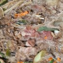 초당동-1 이미지