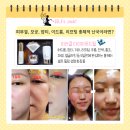 르네셀 이미지