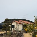 외갓집펜션 | 제주 독채펜션 추천｜아이 둘과 묵은 제주외갓집 에어비앤비 후기