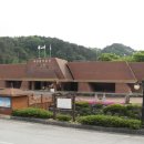 대관령 치유의 숲 이미지