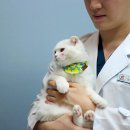 초로동물병원 이미지