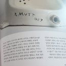 전번의 뒤샹질문(추가이미지), 둔황막고굴 미륵상 이미지