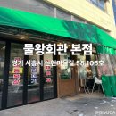 메가엠지씨커피시흥물왕호수점 | 시흥 물왕호수 맛집 물왕회관 본점｜급냉 삼겹살...온 후기｜ 물왕호수 구경 후 딱 좋은 시흥 냉삼 맛집