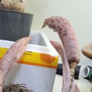 아룸