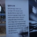 가온밀면 - 강서구 명지국제12로47번길 24 | 가온밀면