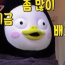 디플랜트