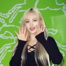 리즈 카카오 검색결과