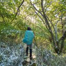 지리산 종주 후기 첫째 날 :: 성삼재~노고단~연하천대피소~벽소령대피소~세석대피소
