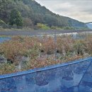 덕포농장 이미지