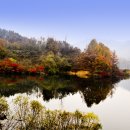 진안읍 0393 | 전북진안유명여행지사진명소는?마이산탑사구봉산구름다리꽃잔디마을용담호생생정보맛집흑돼지청국장