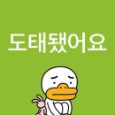 너랑나랑 행복하개 | 처음 그 낯설던 맞닿은 시선 아주 오래 오래 오래