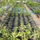 시온농장 이미지