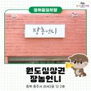 장농언니