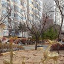 쌍용아파트후문 이미지