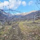 새재공인중개사사무소 이미지