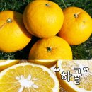 우수농장 이미지