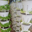 빛고을농장 이미지