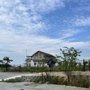 응골 아일랜드 이미지