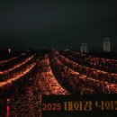 동일자동차공업(주) | 울산공업축제 2025 태화강 낙화놀이 드론쇼 관람 후기