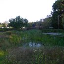 궁동생태공원 이미지