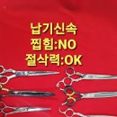 가위숲 이미지