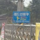 스테이 인 블루 이미지