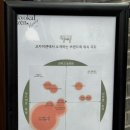 유자매나라 | 한남동 맛집ㅣ돈까스 장인 '교카이젠 한남'ㅣ한남동 돈까스 맛집