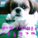 삼순e