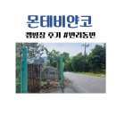 몬테비안코 | 몬테비얀코 캠핑장 후기, 반려동반