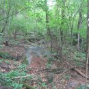 천마카센타 이미지