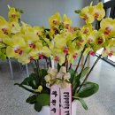 당선선거행정사사무소 | 대한행정사회 서초구지회, 지태훈 행정사 지회장 당선