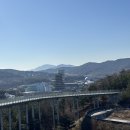 월드코스