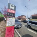 매화희망센터 (옥내1) | 3월 순천 가볼만한곳 탐매마을 매화 홍매화 축제 후기 부산 당일치기 여행