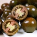 토마토 - 거제시 거제중앙로 1905 | 토마토