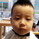 셰르헤어 - 동구 | 셰르헤어