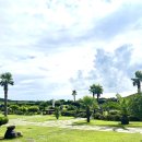 우도피아 이미지