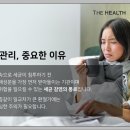 그린 프로폴리스 원료및 효능 이미지