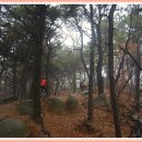 소래화원 이미지