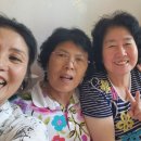 목천부녀경로당 네이버블로그