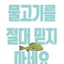 물고기를 절대 믿지 마세요.//닐 샤프슨 / 댄 샌탯/ 비룡소/ 2026-06-22 이미지