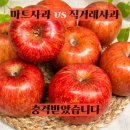 직거래마트 | 마트 사과와 직거래 사과 직접 먹어보고 충격받았습니다